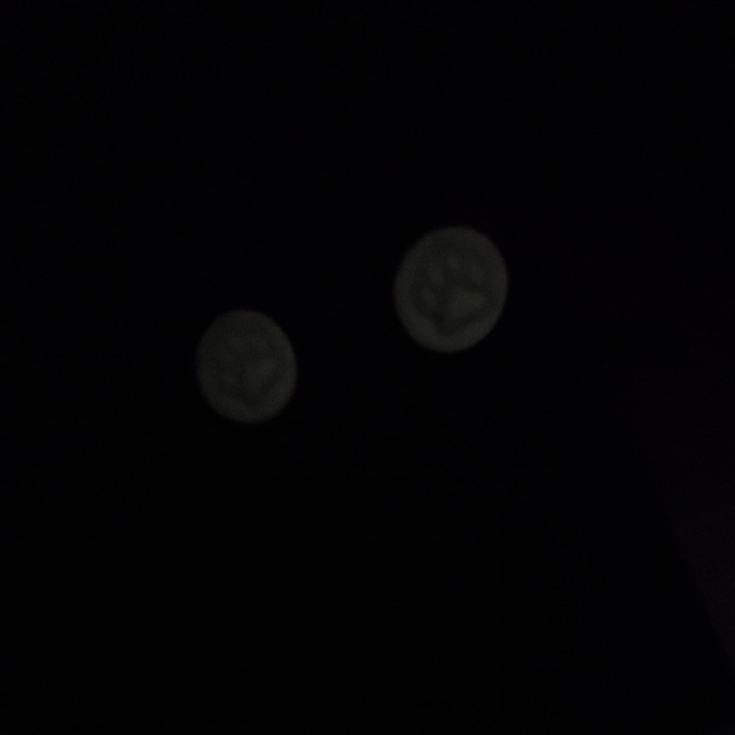 Sonny Boy Paw Print Studs (Donation)