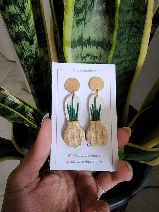 Baby Snake Plant